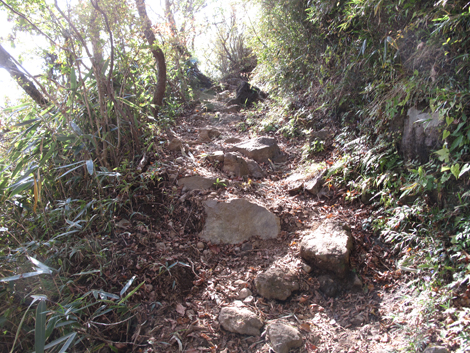 20181102hike (126)